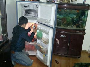 sửa tủ lạnh mitsubishi tại Hà Nội